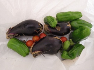 秋でも夏野菜.JPG